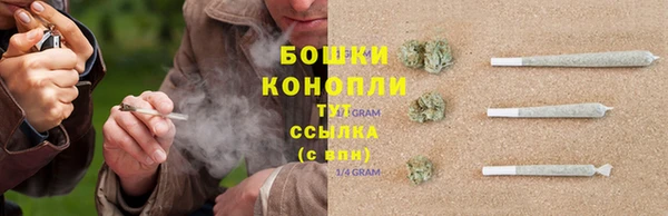 mdma Заводоуковск
