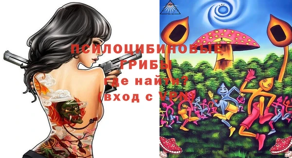 mdma Заводоуковск