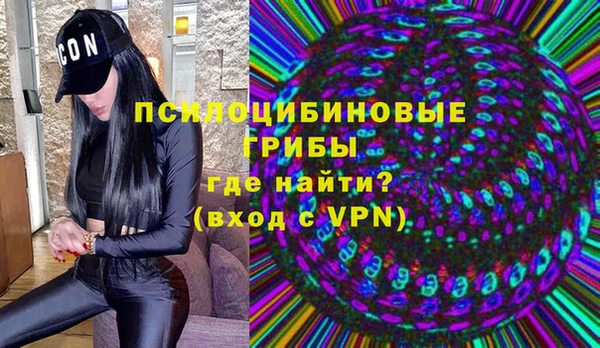 mdma Заводоуковск