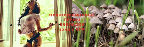 mdma Заводоуковск