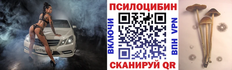 Купить  Дальнегорск  Псилоцибиновые грибы Cubensis 